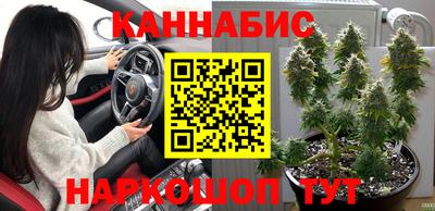 эйфоретик Малгобек