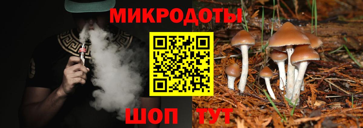 Узловая  Псилоцибиновые грибы мицелий  Вход с VPN  Псилоцибиновые грибы ЛСД 